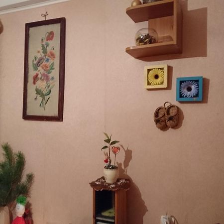 Comfortable Isolated Turnkey Room Near The Subway And The International Exhibition Center Κίεβο Εξωτερικό φωτογραφία